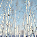 Upward View of Birch Trees Against a Brilliant Blue Sky